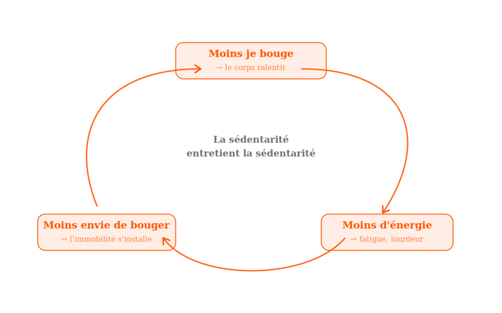 Schéma circulaire illustrant le cercle vicieux de la sédentarité : moins je bouge, moins j'ai d'énergie, moins j'ai envie de bouger Schéma circulaire illustrant le cercle vicieux de la sédentarité : moins je bouge, moins j'ai d'énergie, moins j'ai envie de bouger